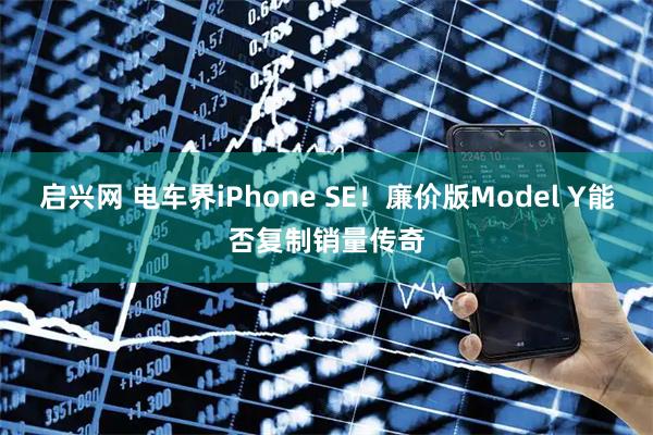 启兴网 电车界iPhone SE！廉价版Model Y能否复制销量传奇