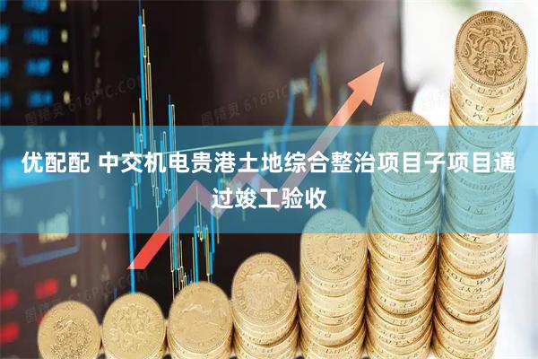 优配配 中交机电贵港土地综合整治项目子项目通过竣工验收