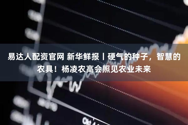 易达人配资官网 新华鲜报丨硬气的种子，智慧的农具！杨凌农高会照见农业未来