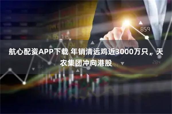 航心配资APP下载 年销清远鸡近3000万只，天农集团冲向港股