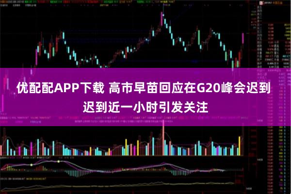 优配配APP下载 高市早苗回应在G20峰会迟到 迟到近一小时引发关注