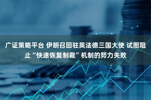 广证策略平台 伊朗召回驻英法德三国大使 试图阻止“快速恢复制裁”机制的努力失败