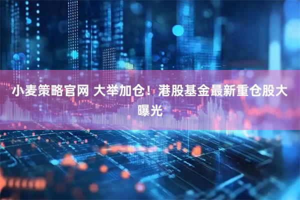 小麦策略官网 大举加仓！港股基金最新重仓股大曝光