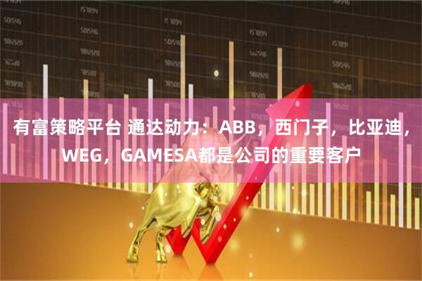 有富策略平台 通达动力：ABB，西门子，比亚迪，WEG，GAMESA都是公司的重要客户