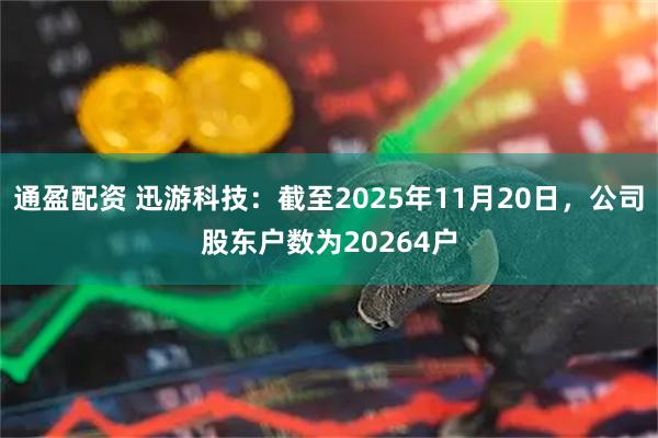 通盈配资 迅游科技：截至2025年11月20日，公司股东户数为20264户