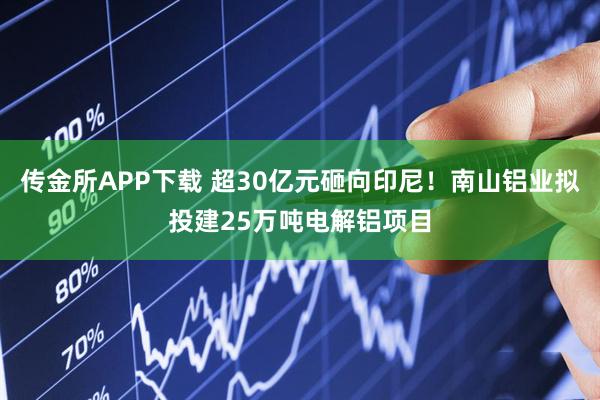 传金所APP下载 超30亿元砸向印尼！南山铝业拟投建25万吨电解铝项目