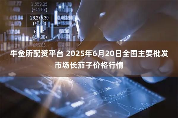 牛金所配资平台 2025年6月20日全国主要批发市场长茄子价格行情