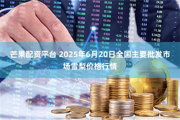 芒果配资平台 2025年6月20日全国主要批发市场雪梨价格行情